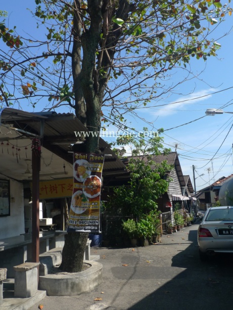 JettyThaiFood8