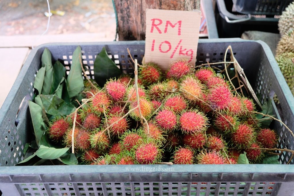 Penang Durian, Balik Pulau Durian, Penang Food Blog, Lingzie Food Blog