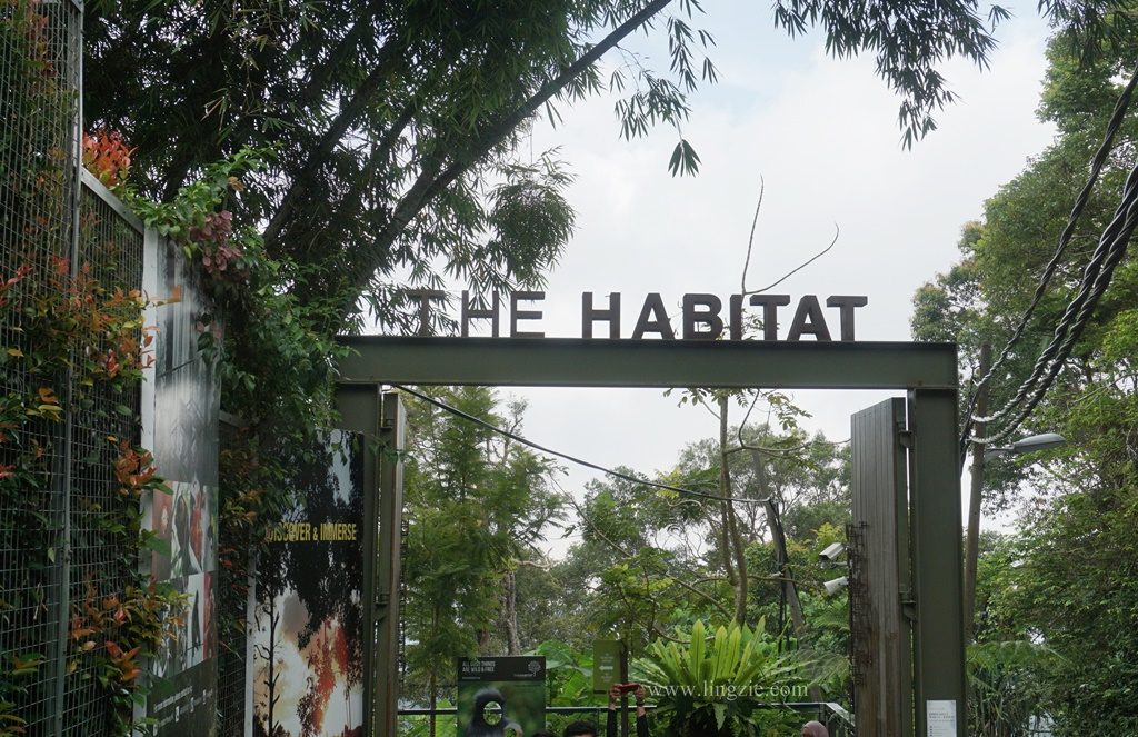The Habitat, Penang Hill, Penang Attractions, Penang Food Blog, Treetop Walk, Visit Penang