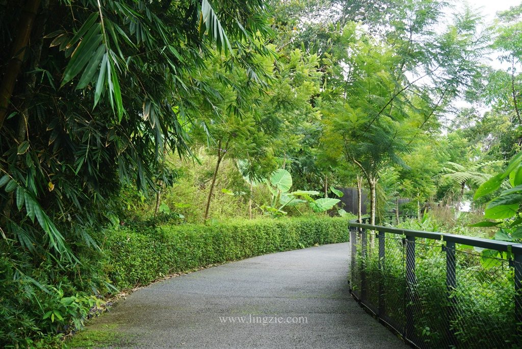 The Habitat, Penang Hill, Penang Attractions, Penang Food Blog, Treetop Walk, Visit Penang