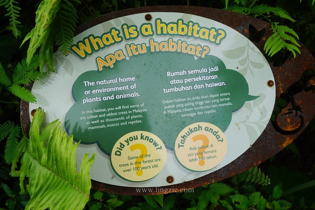 The Habitat, Penang Hill, Penang Attractions, Penang Food Blog, Treetop Walk, Visit Penang
