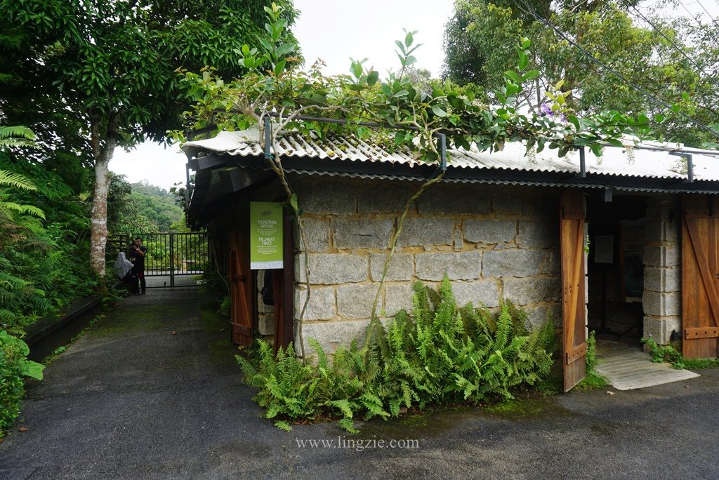 The Habitat, Penang Hill, Penang Attractions, Penang Food Blog, Treetop Walk, Visit Penang